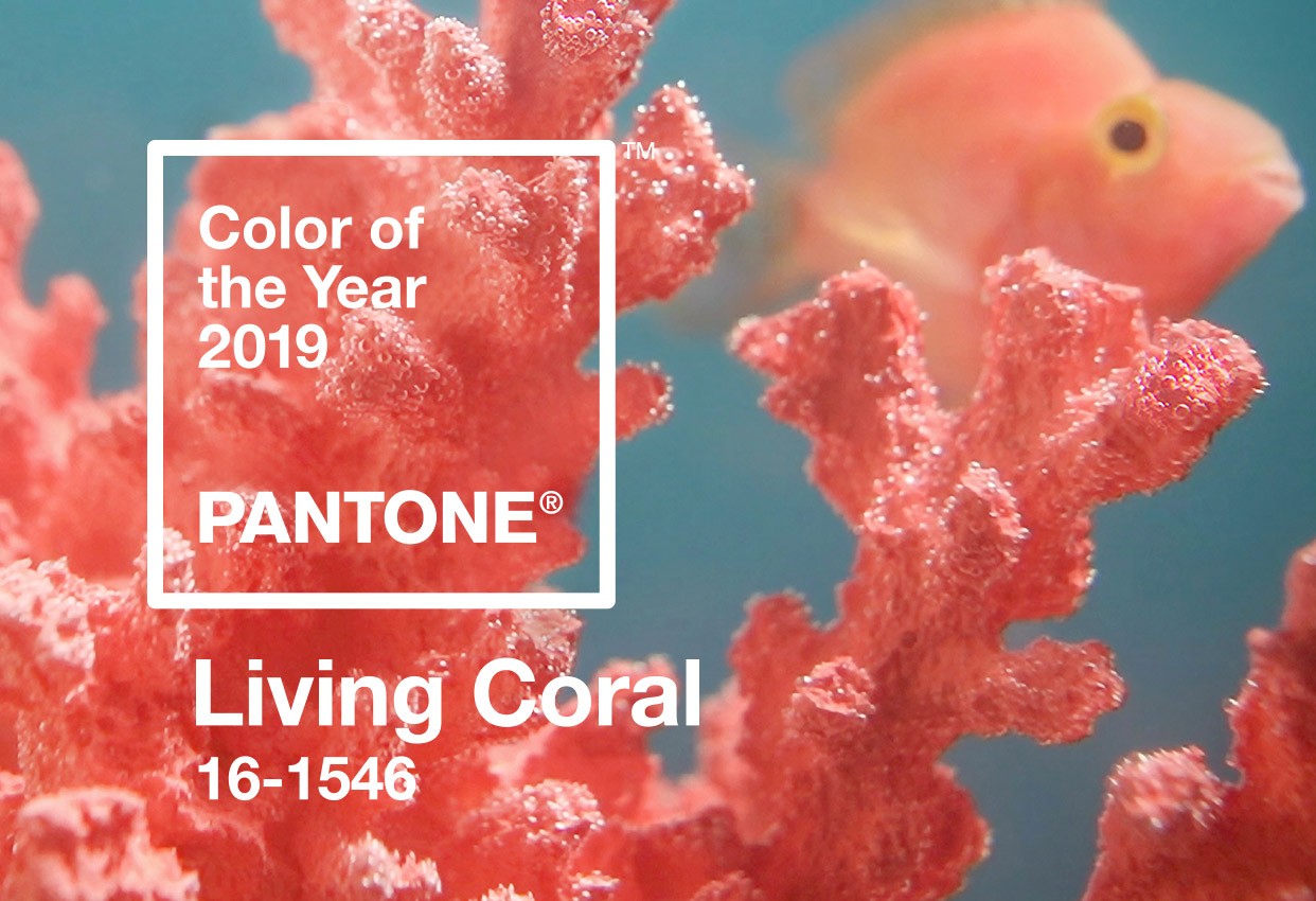 pantone-color-of-the-year-2019-living-coral-banner-mobile.jpg